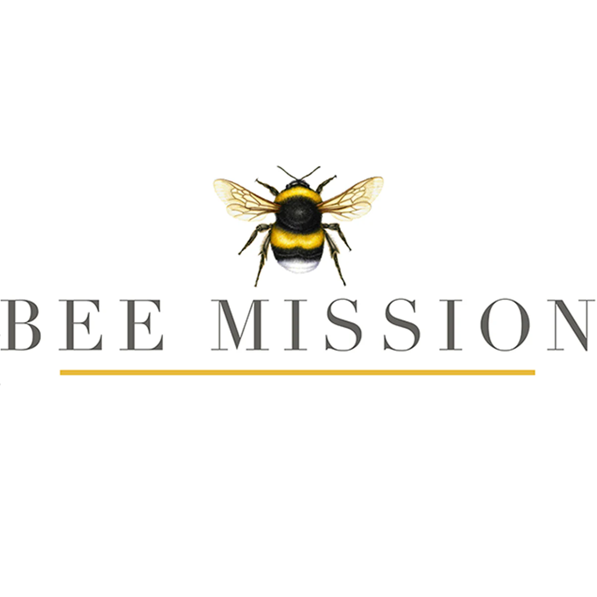 Bee Mission