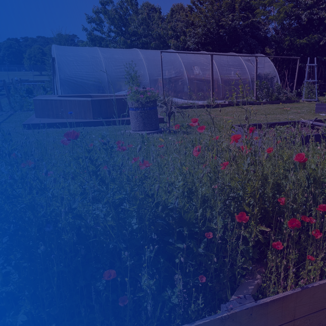 'Let it Grow' Garden
